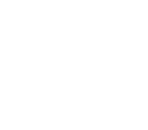 Logo_VACTI