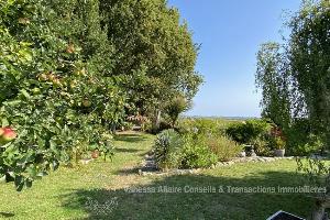 Maison-thumb16